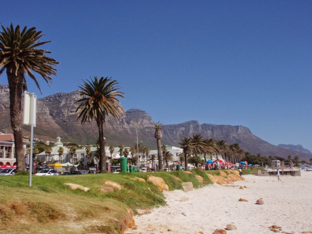 putting your goals into action