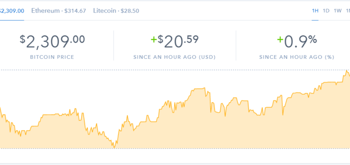 choosing a cryptocurrency
